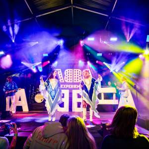 ABBA Experience: A tribute to ABBA boeken