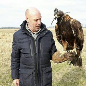 Roofvogel Valkerij