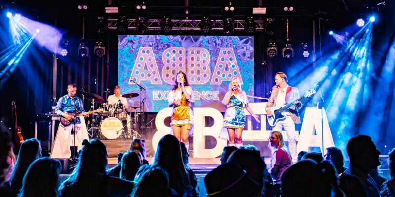 ABBA Experience: A tribute to ABBA boeken